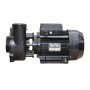 1.5HP Waterway Pump 1 speed 48F 1.5"