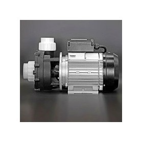WP200 II pomp spa,