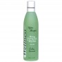 inSPAration Wellness Cooling Spearmint
