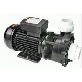 WP300-II 3HP 2-speed jet/massage pomp